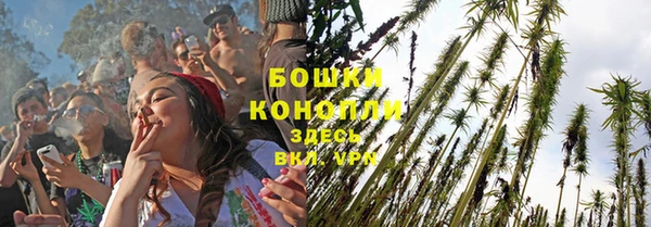 амф Беломорск
