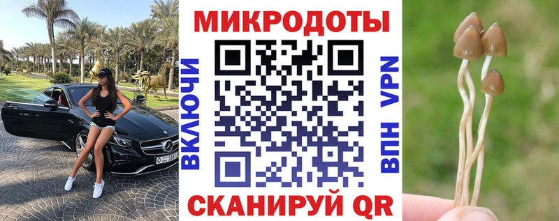Галлюциногенные грибы Psilocybine cubensis  Александровское 